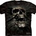 3D Skull
