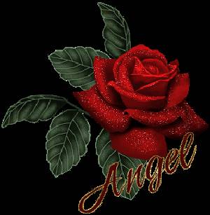 Angel Angel