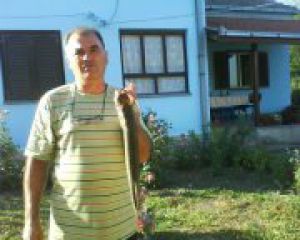dragan 1.