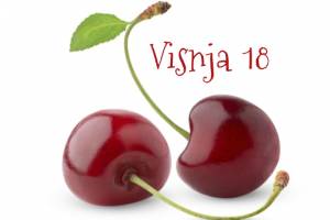 visnja18 visnja18