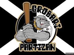 Что за драйвер partizan