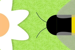 Beenvaders Beenvaders