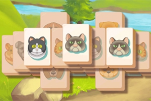 Pet Jong Pet Jong